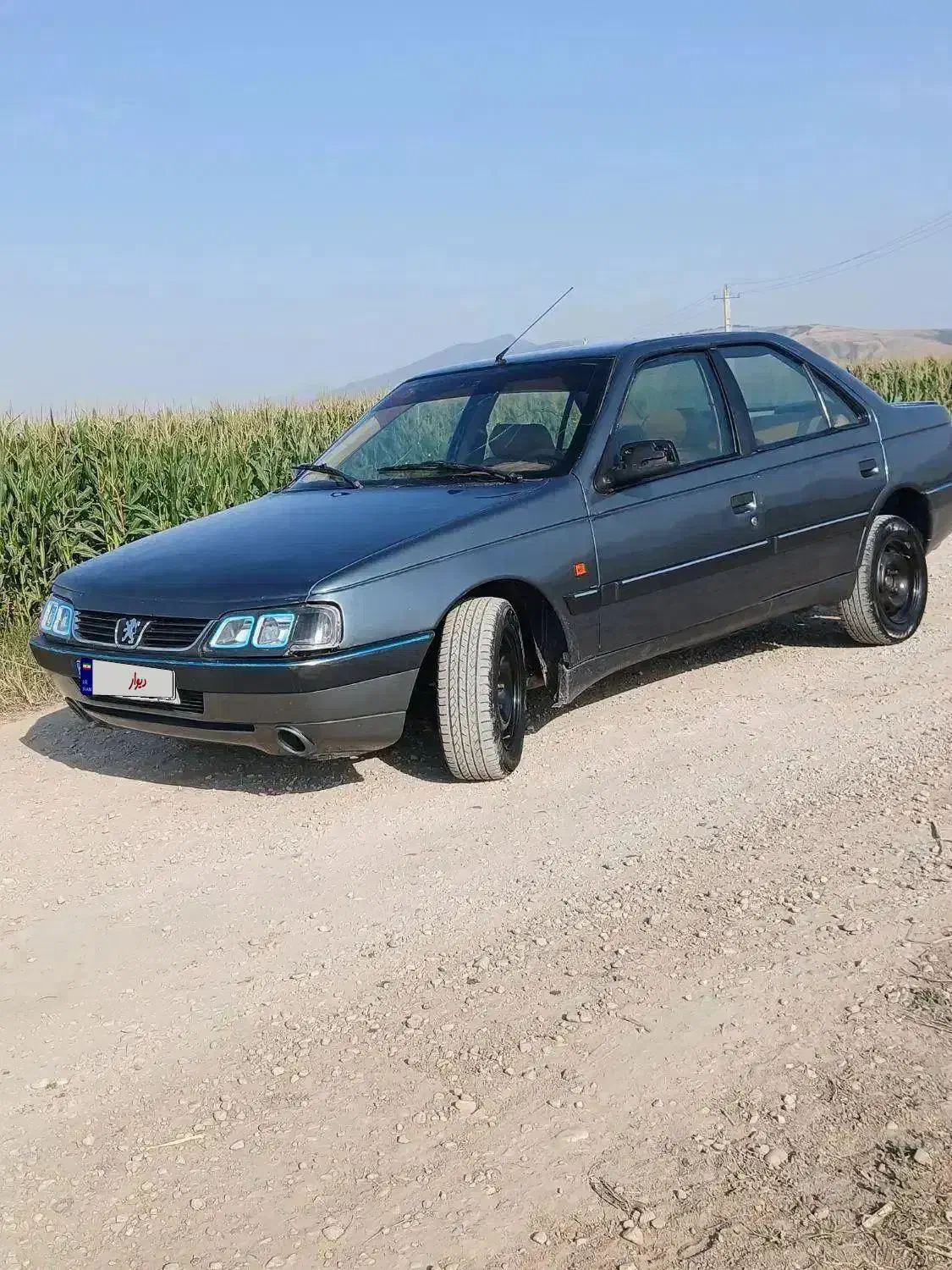 پژو سلکس دلفینی تو کرم|خودرو سواری و وانت|زابل, |دیوار