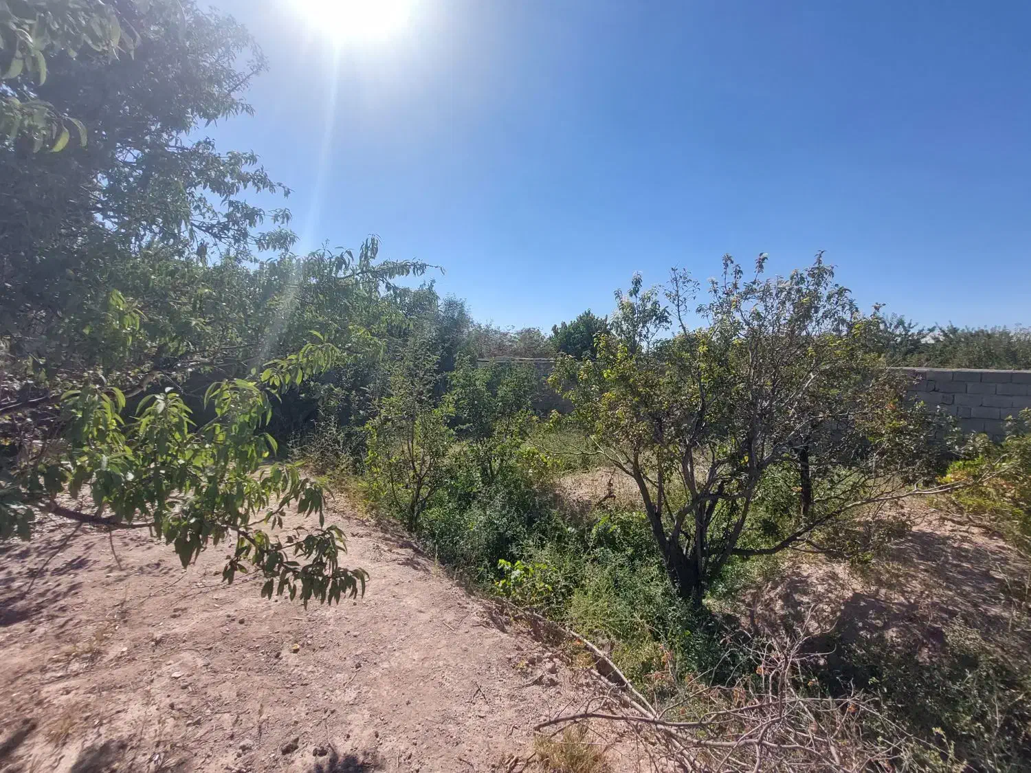 املاک خوشه مهر پیام .شهر سهندوجاده کند|فروش خانه و ویلا|اسکو, |دیوار