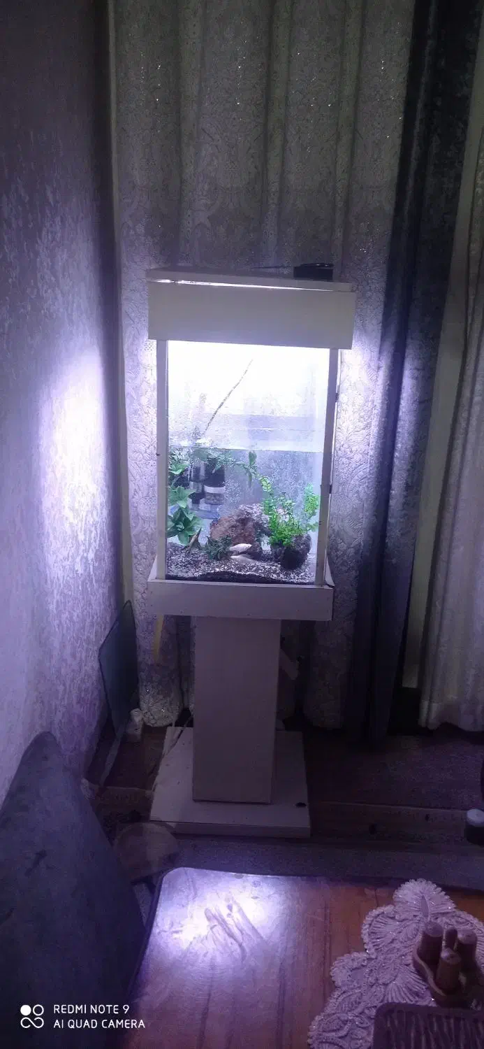 آکواریوم کامل با وسایل 2تومن|ماهی|قرچک, زیبا شهر|دیوار