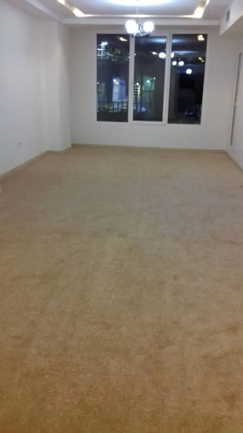 پالاز موکت|موکت|یزد, |دیوار