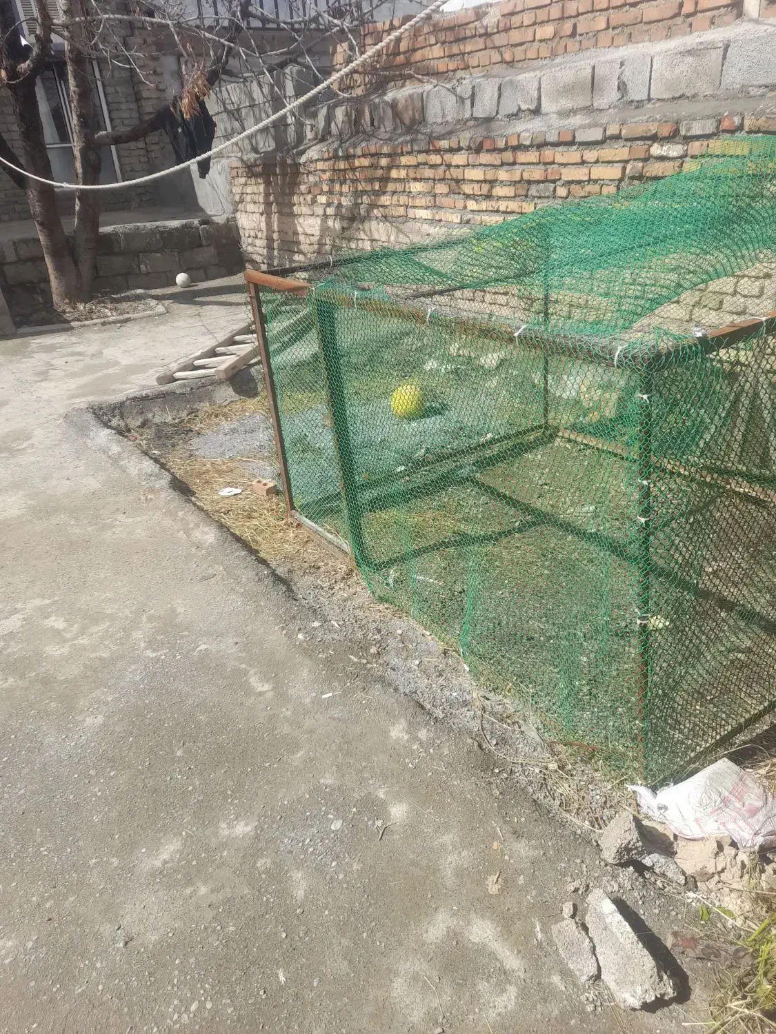 قفس|لوازم جانبی حیوانات|خوی, |دیوار