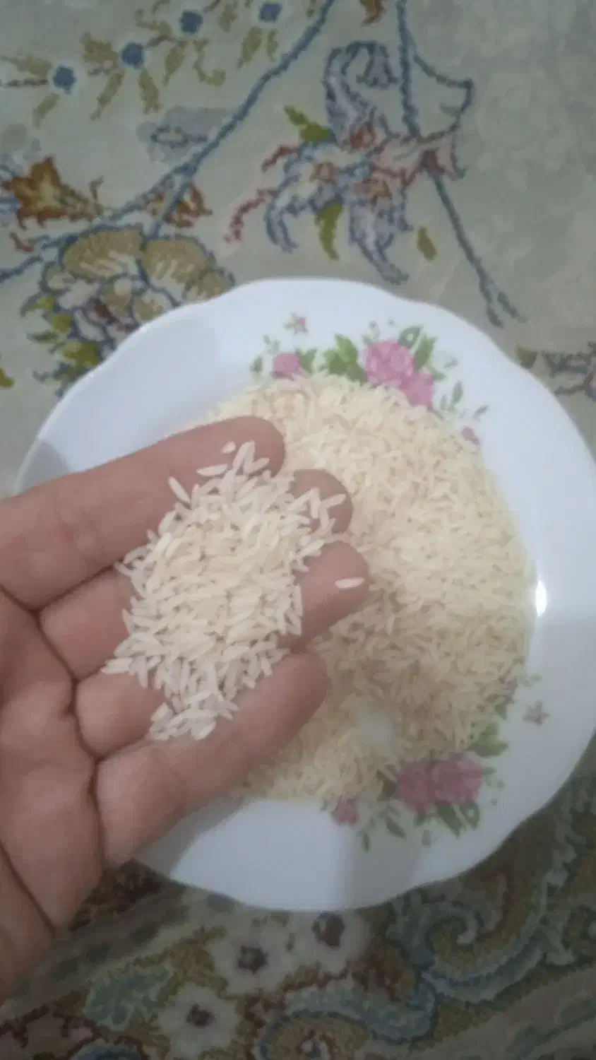برنج هاشمی|خوردنی و آشامیدنی|رشت, آب و برق|دیوار