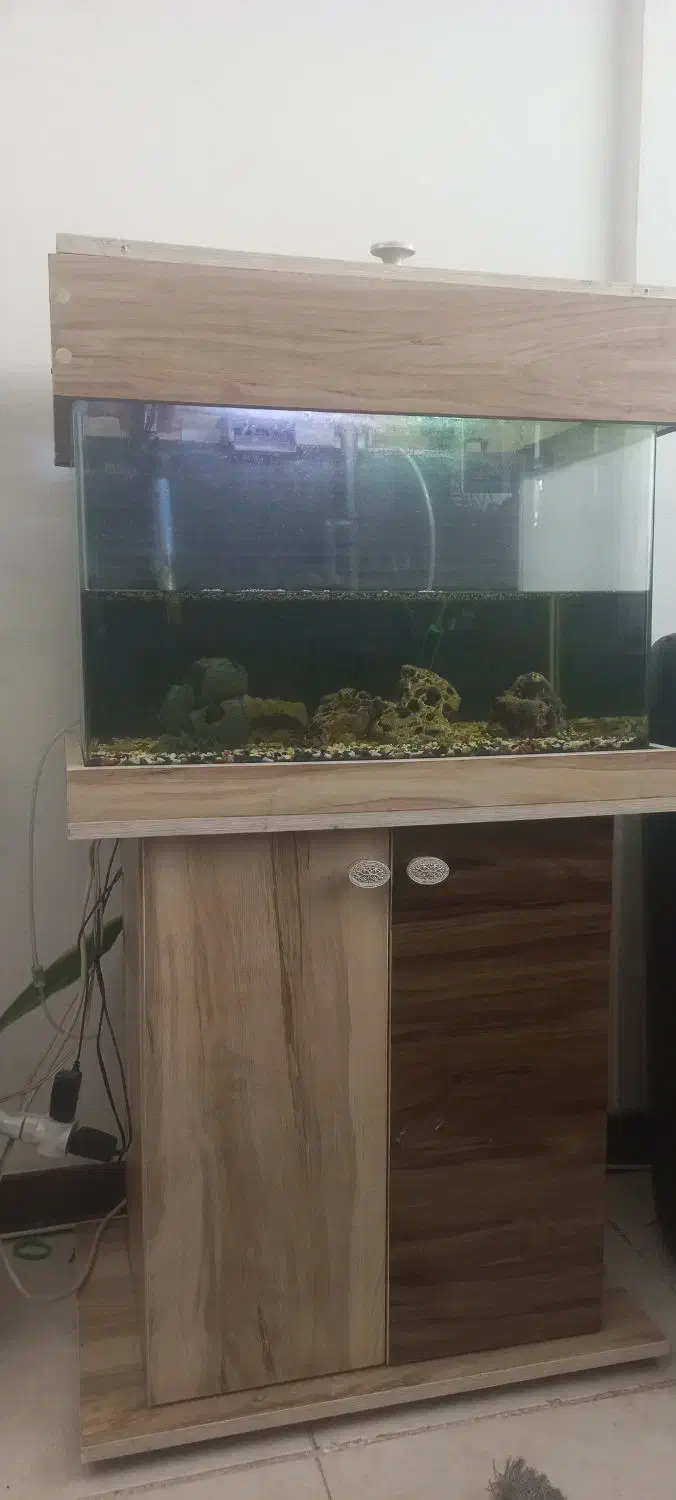 آکواریوم شیشه خم با کمد|ماهی|خاوران, |دیوار