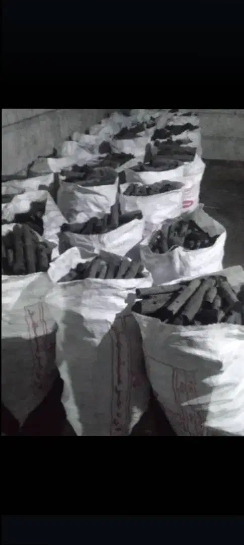 مرغ عشق|پرنده|خرمشهر, |دیوار