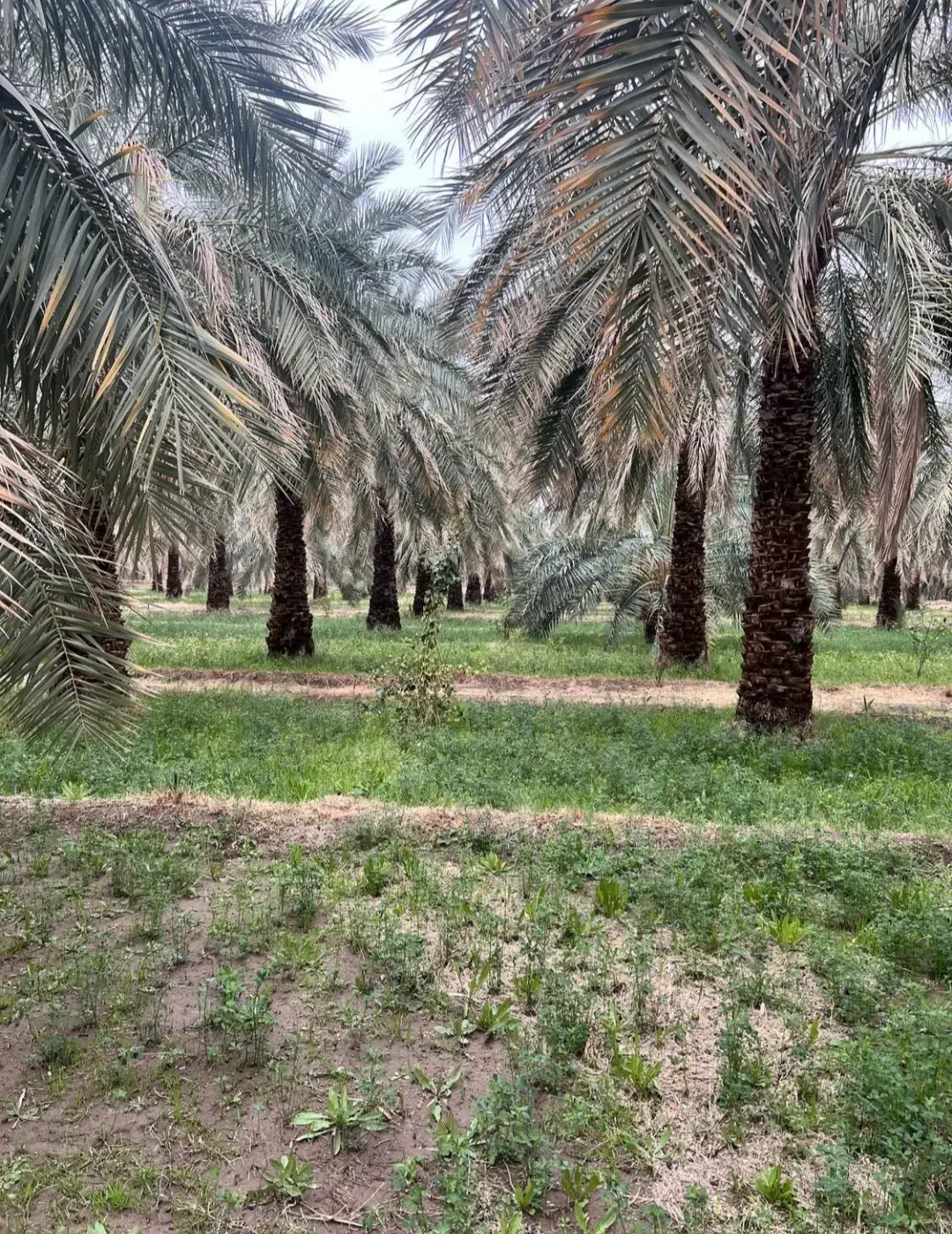 با۱۵ملیون‌چکاری‌میشه‌یادگرفت|فعالیت داوطلبانه|شیراز, بازار|دیوار