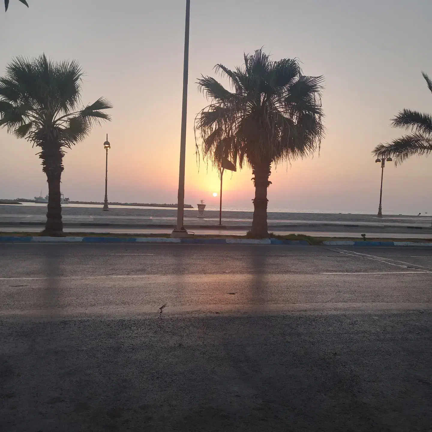 راهنمایی کنین برم ترکیه|فعالیت داوطلبانه|بیرجند, |دیوار