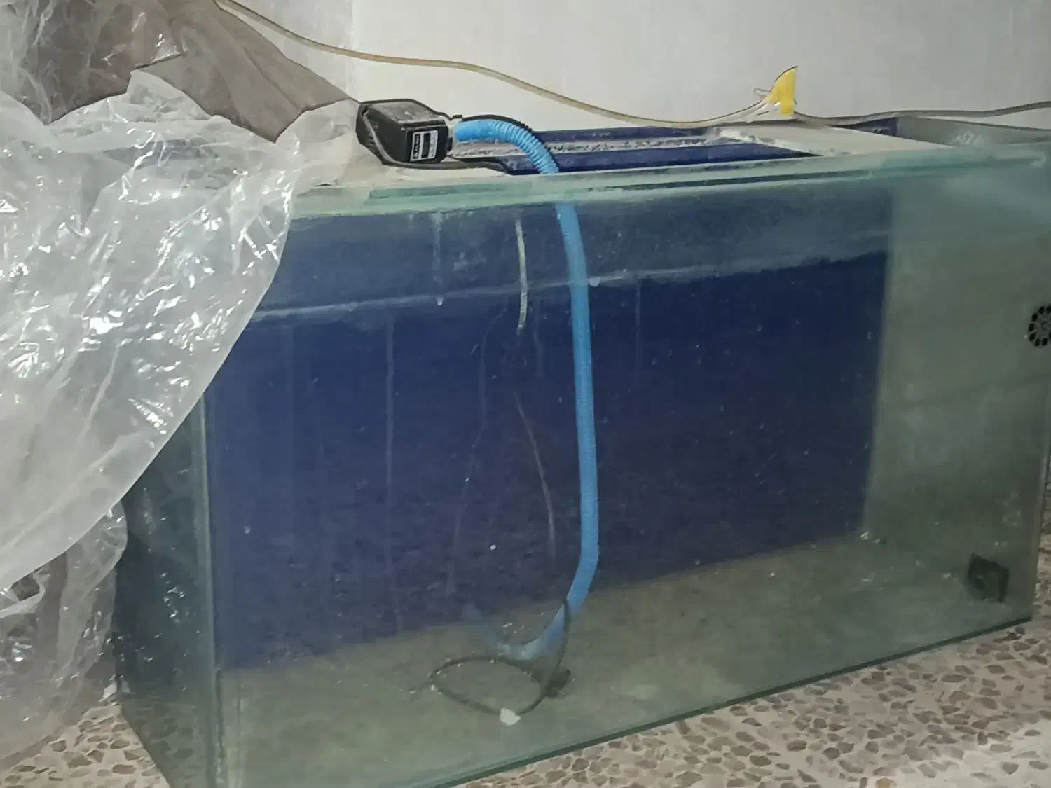 اکواریوم شیشه خم سالم|ماهی|ساوه, |دیوار