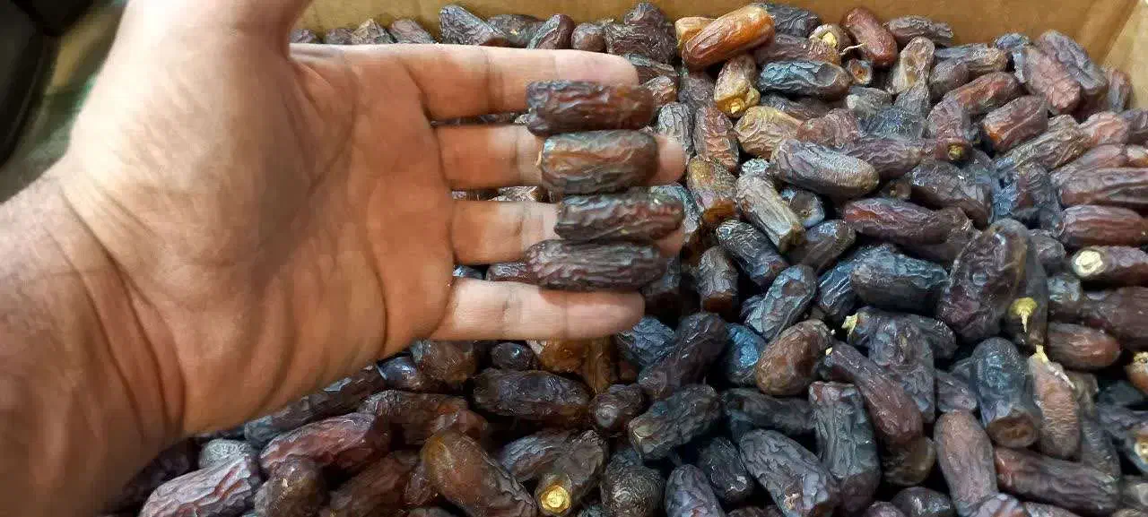 انواع خرما و رطب فقط با آقای خرما|خوردنی و آشامیدنی|قم, یزدانشهر|دیوار