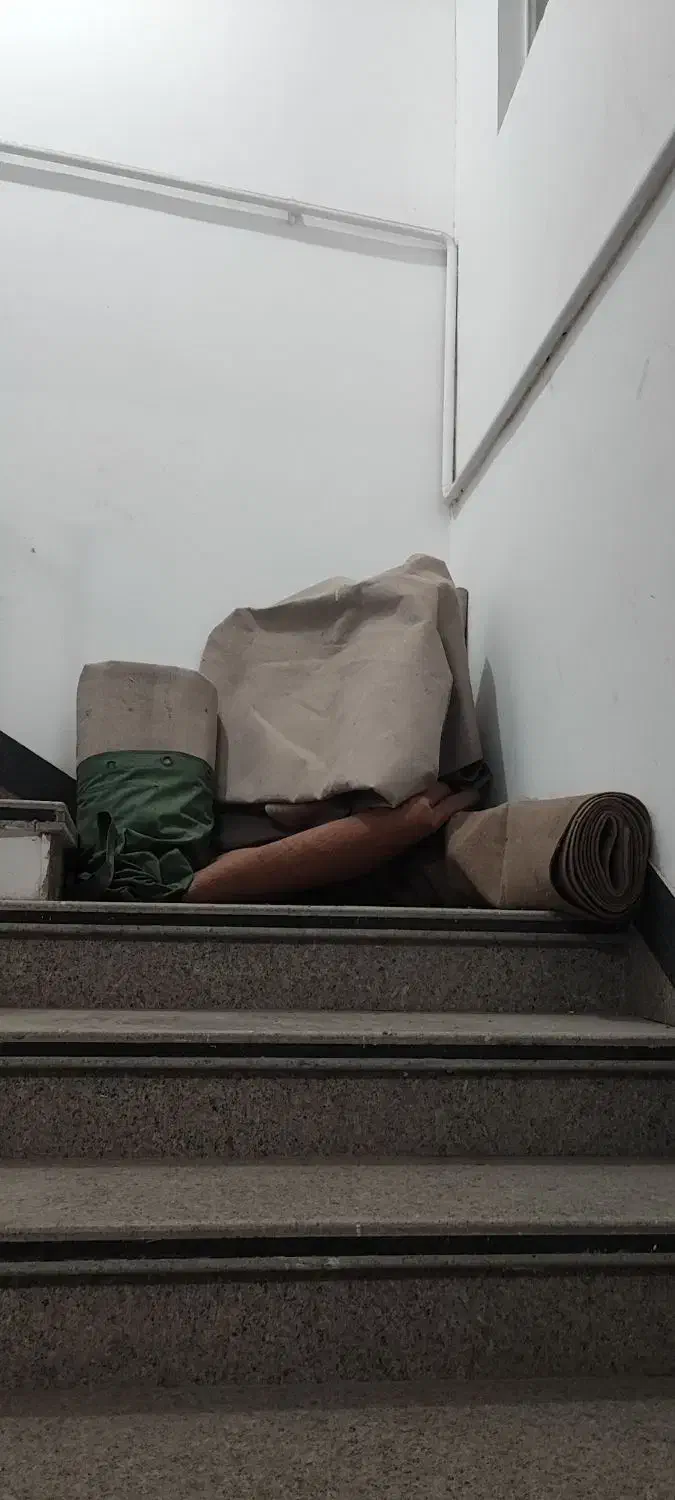 موکت|موکت|نیشابور, فردوس شمالی|دیوار