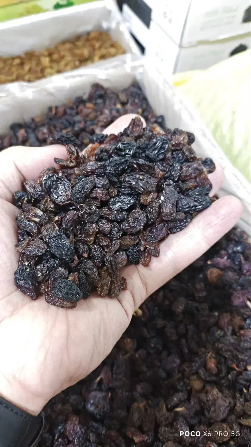 کشمش اصل ملکان|خوردنی و آشامیدنی|بانه, |دیوار