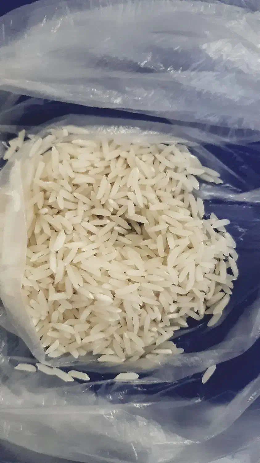 فروش برنج هاشمی گیلان فلاح(مسعود)|خوردنی و آشامیدنی|کرج, شهرک امام رضا (ع)|دیوار