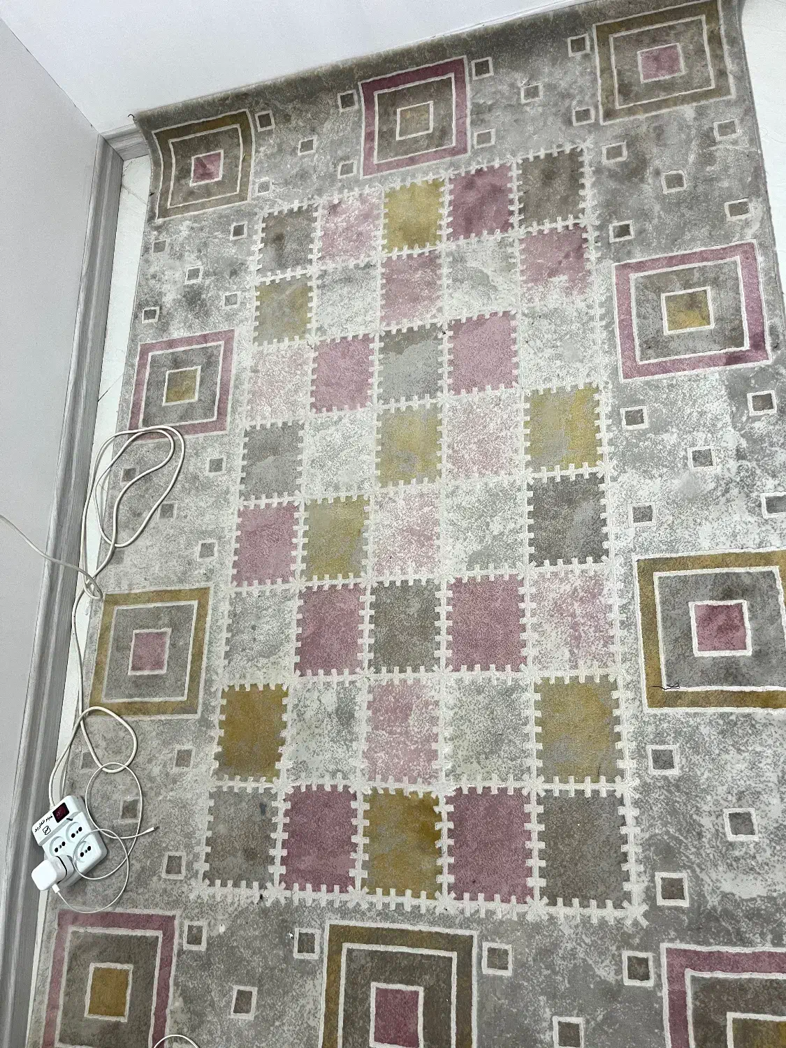 قالی ۴متری تراکم بالا|فرش|شیراز, میانرود|دیوار