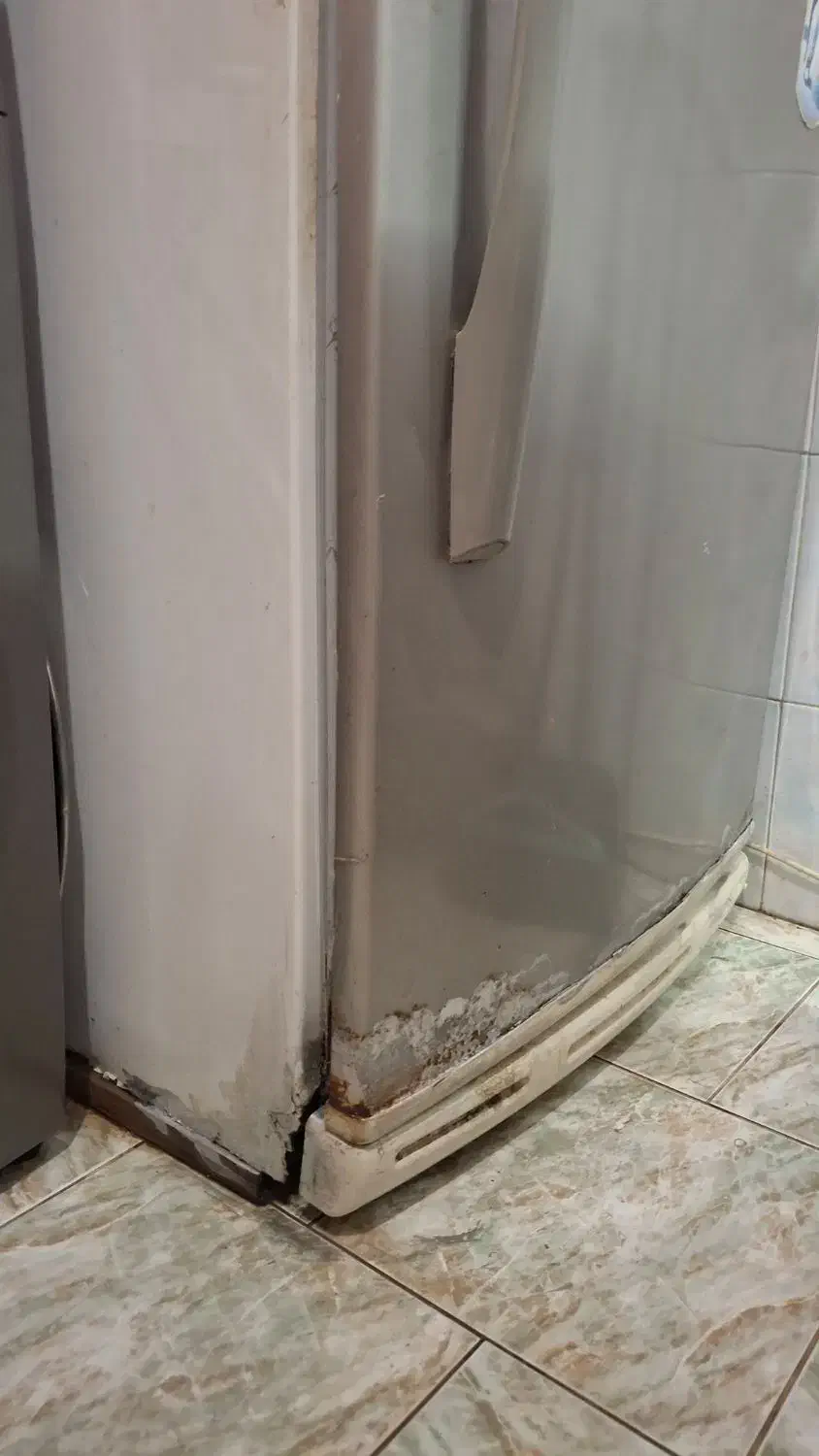 فروش یخچال وترازو|فروشگاه و مغازه|رشت, گلزاران|دیوار