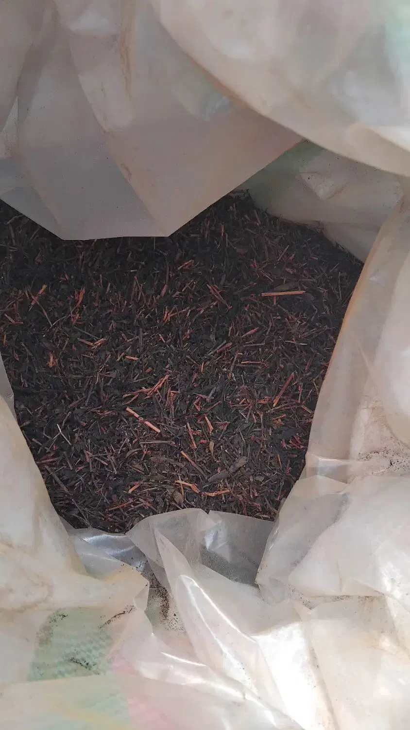 قلم 2|عمدهفروشی|رشت, چله خانه|دیوار