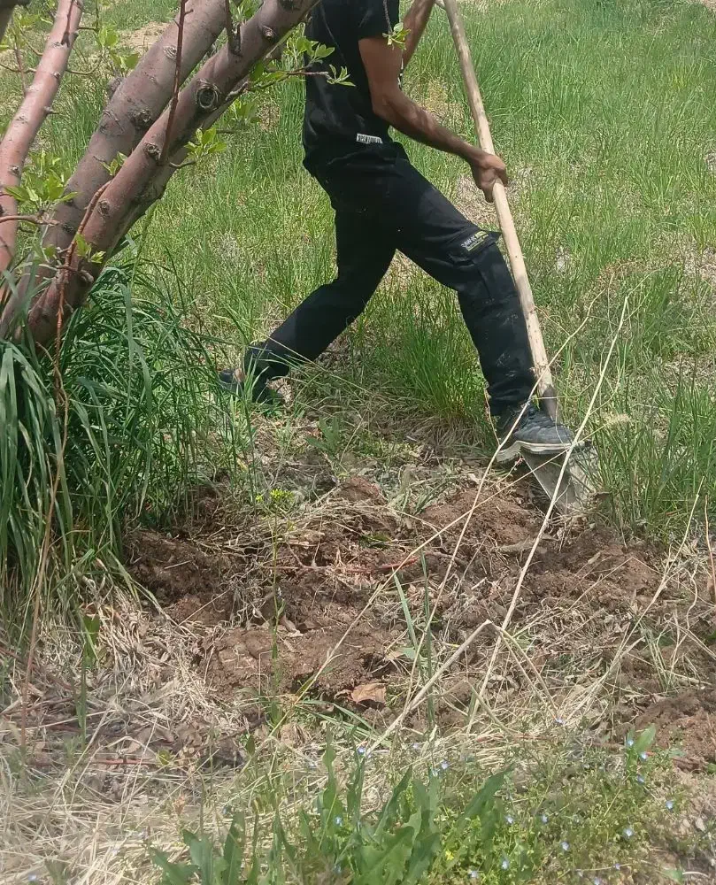 جویای کارم‌|خدمات پیشه و مهارت|لاران, |دیوار