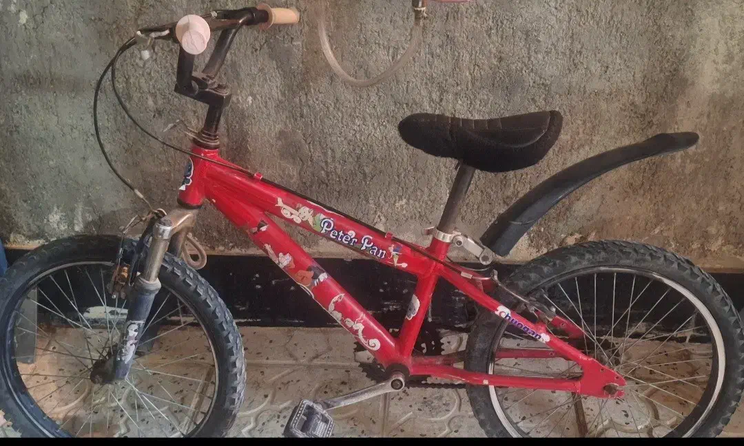 دوچرخه|دوچرخه، اسکیت، اسکوتر|هشتگرد, قاسم آباد بزرگ|دیوار