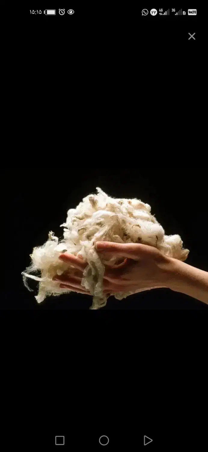 پشم گوسفندی شستشو ‌شده|رختخواب، بالش، پتو|خسروشاه, |دیوار