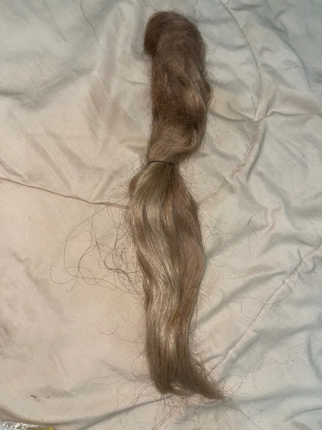 موی طبیعی سالم و پرپشت|آرایشی، بهداشتی، درمانی|تهران, شهرک چیتگر|دیوار