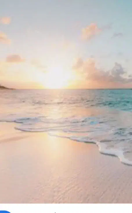 سرکتاب|خدمات پذیرایی، مراسم|تبریز, |دیوار