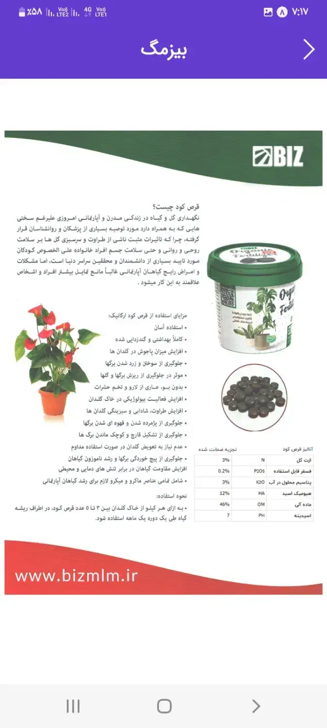 قرص‌کود|گل و گیاه طبیعی|دزفول, |دیوار