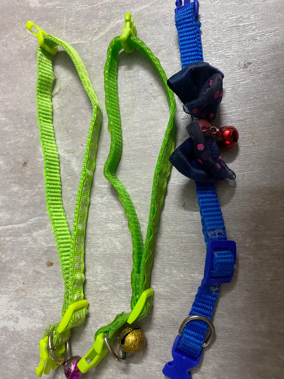 قلاده نونو|لوازم جانبی حیوانات|اصفهان, میرعماد|دیوار