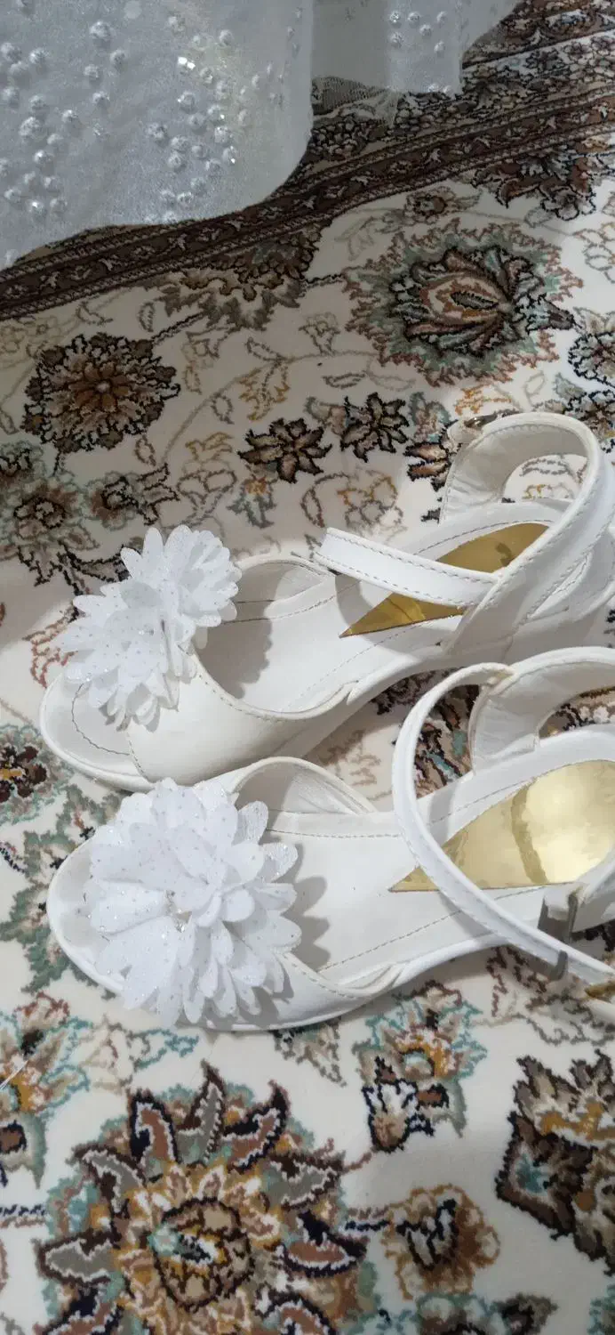 سلام همش دو یا سه بار پوشیده|کیف، کفش، کمربند|دشتابی, |دیوار