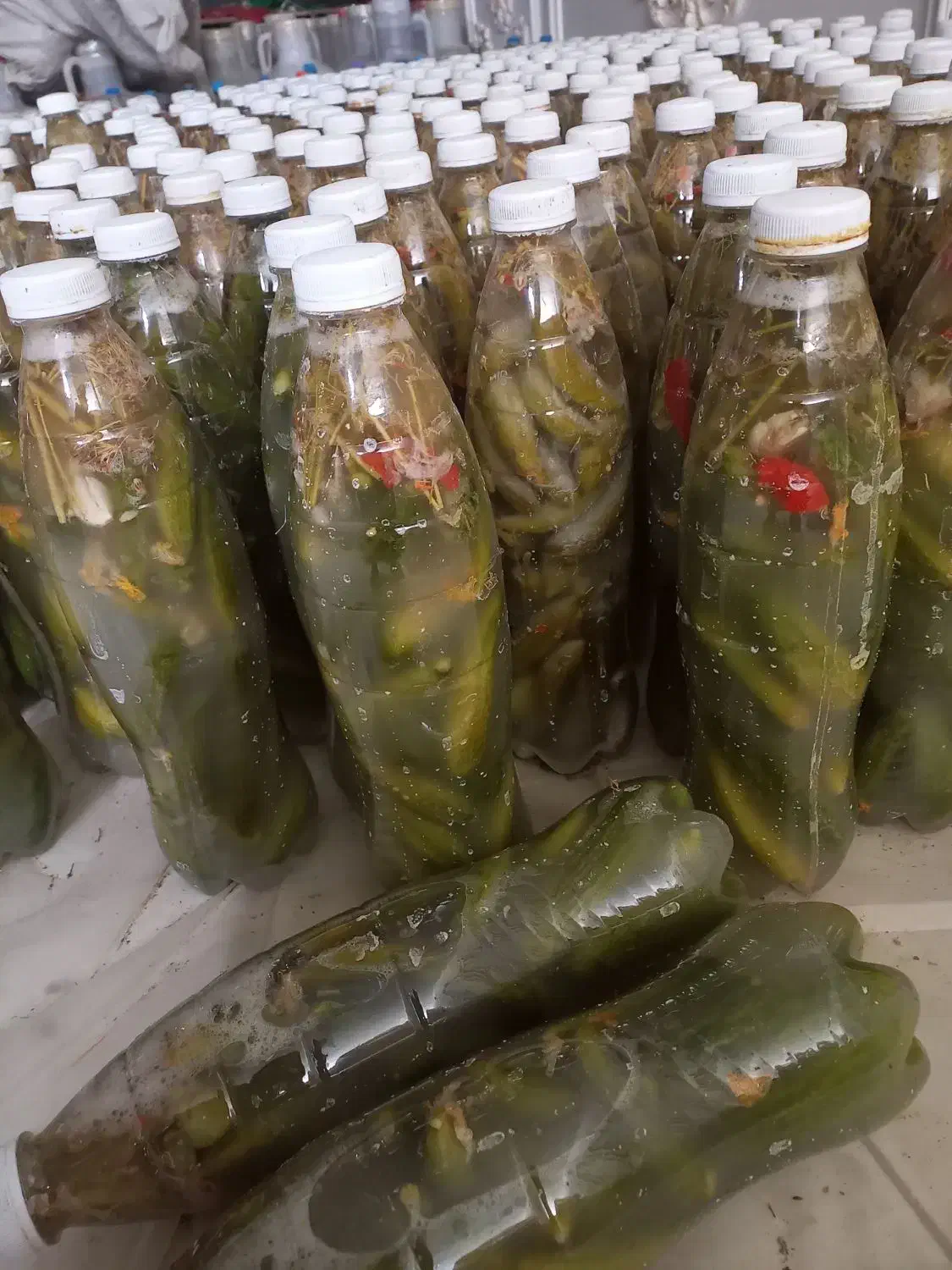 خیارشور بطری ودبه.ترد.ادویه .کره مغزیجات.مانکن|خوردنی و آشامیدنی|بجنورد, |دیوار