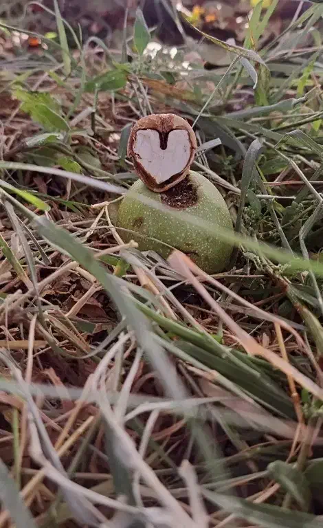 نیازمند وام|فعالیت داوطلبانه|تهران, شهرک شریفی|دیوار