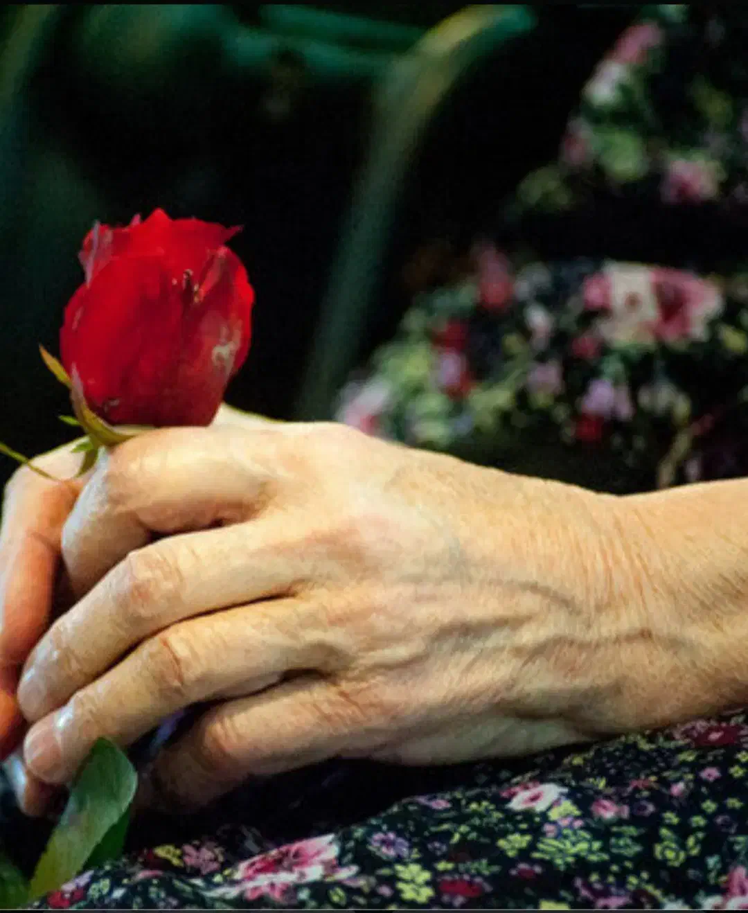 همراه بیمار|خدمات آرایشگری و زیبایی|کرمانشاه, |دیوار