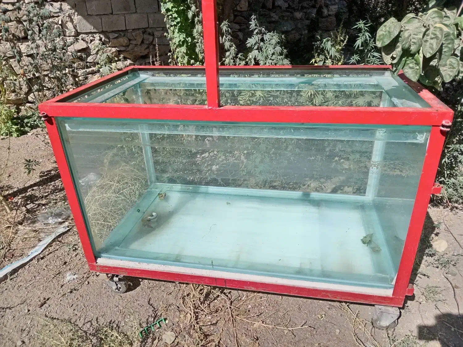 اکواریوم ظرفیت ۳۰کیلو|ماهی|مریوان, |دیوار