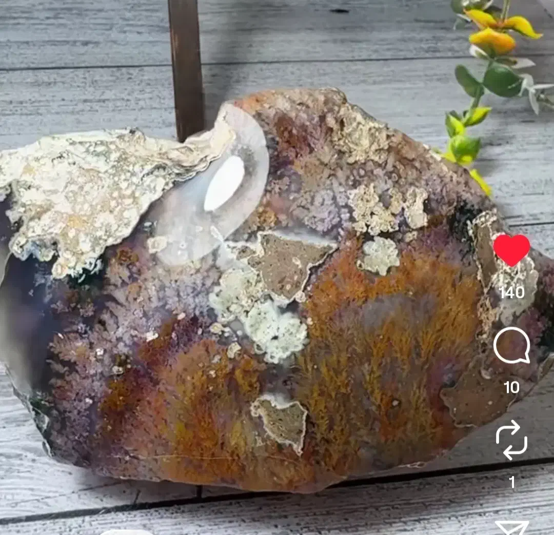 راف کلکسیونی پولیش شده|جواهرات|فردوس (خراسان), |دیوار