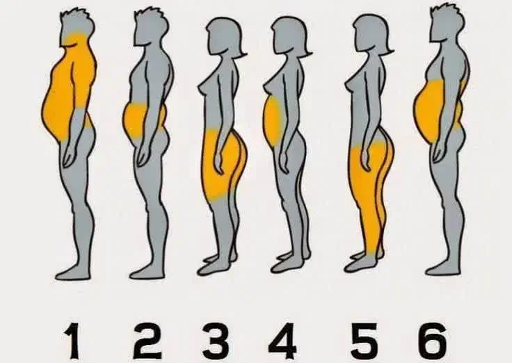 تایلدالاغرشوید|آرایشی، بهداشتی، درمانی|بیضا, |دیوار