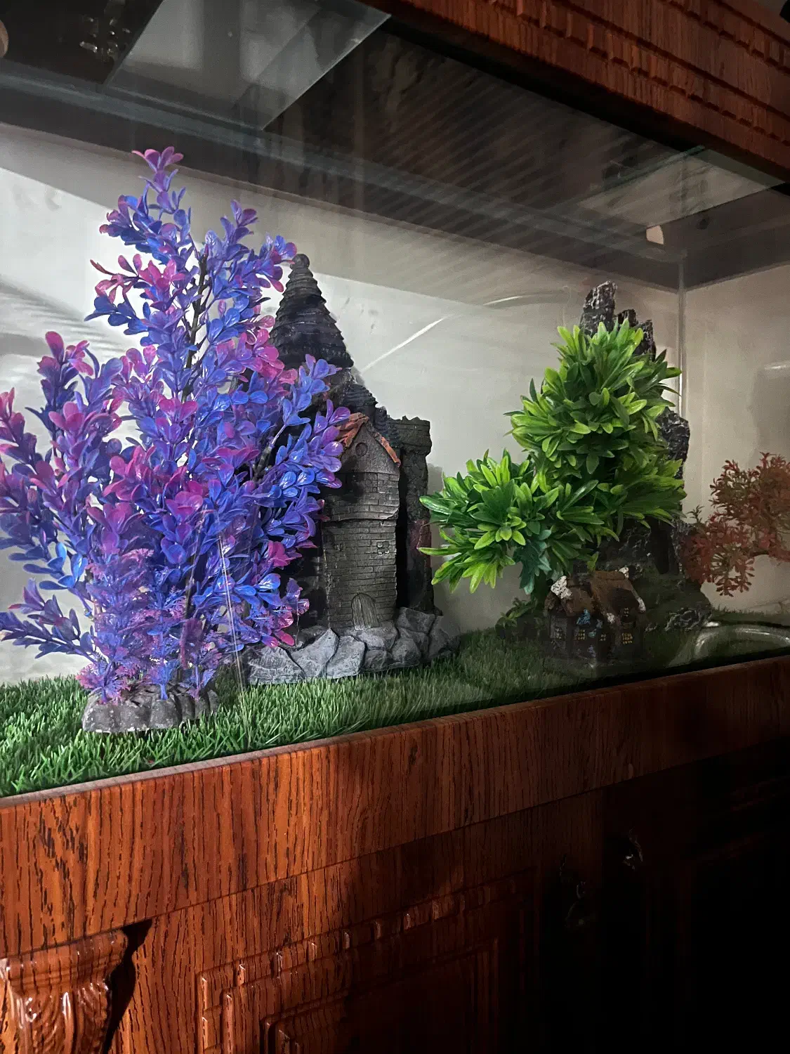 فروش آکواریوم چوبی کاملا نو با وسایل داخلش|ماهی|تهران, قصر فیروزه ۲|دیوار