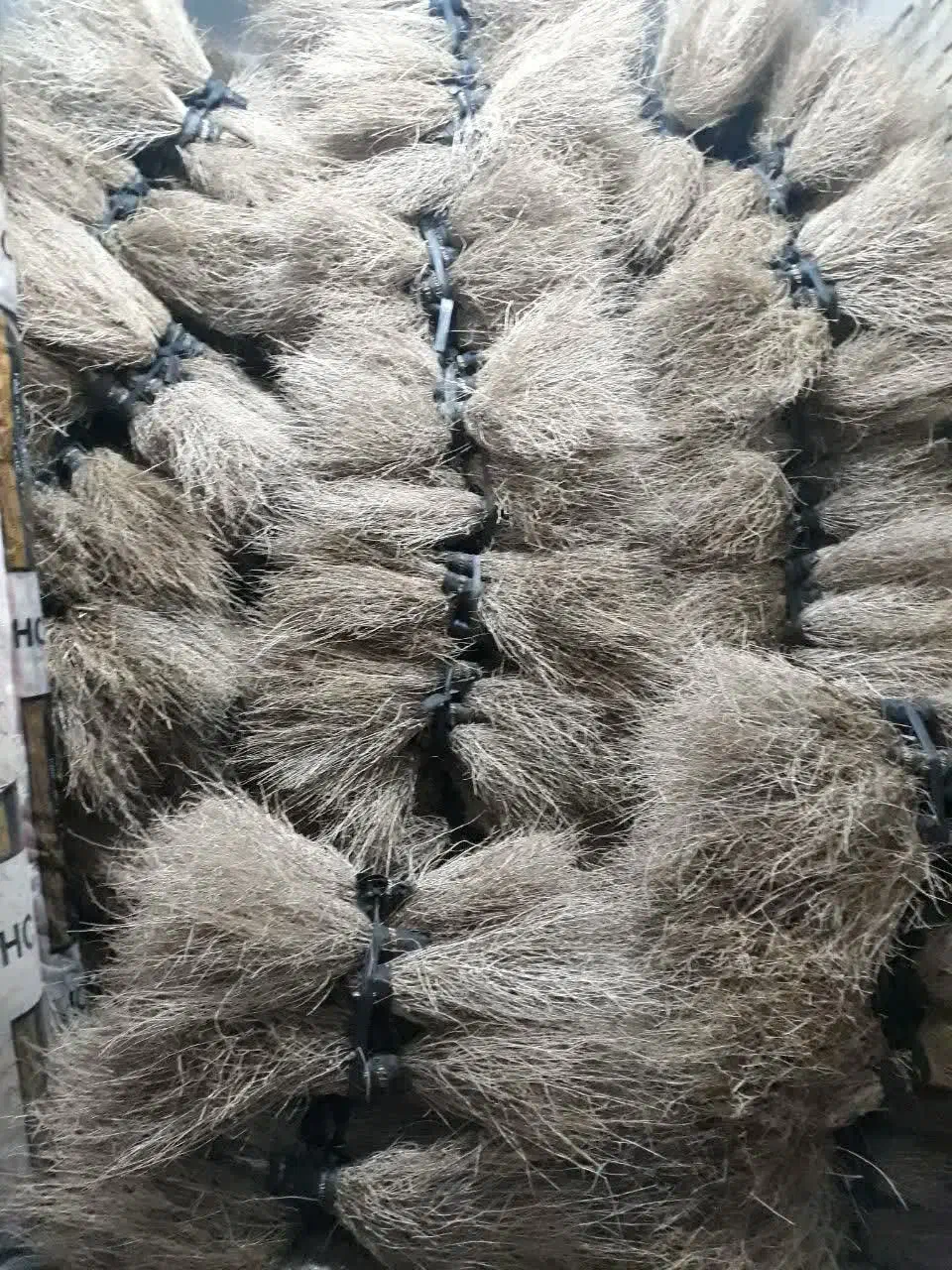 جاروی کوهی تعداد|لوازم نظافت|رزن, |دیوار