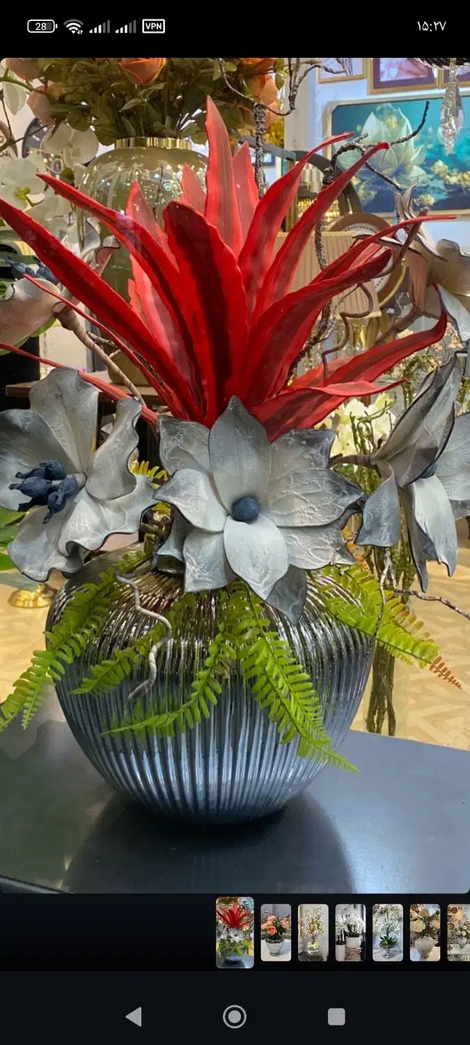 گل و گلدان|گل و گیاه طبیعی|هشتگرد, فاز ۱ مهستان|دیوار