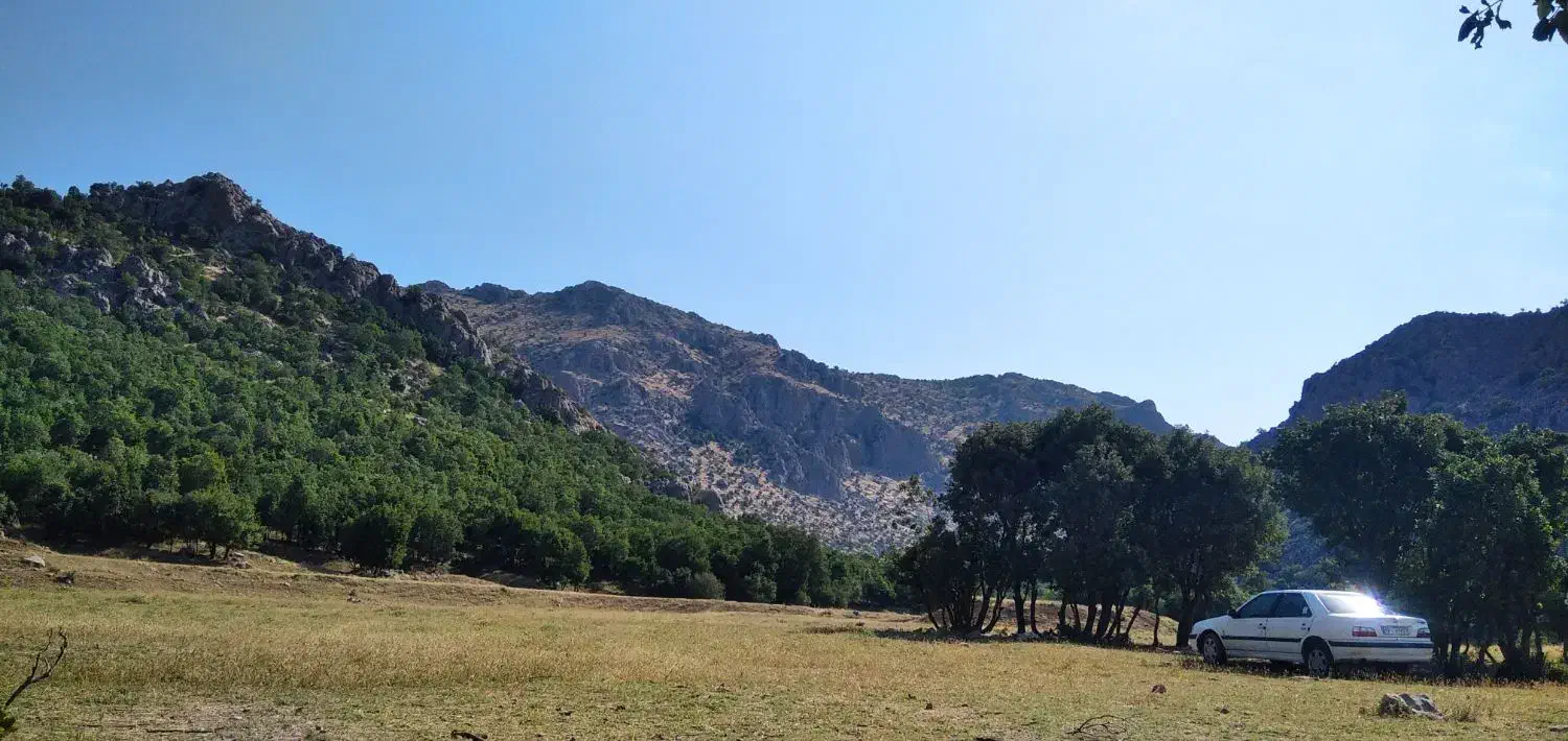 فروش زمین کشاورزی|فروش دفتر صنعتی، کشاورزی، تجاری|مریوان, |دیوار