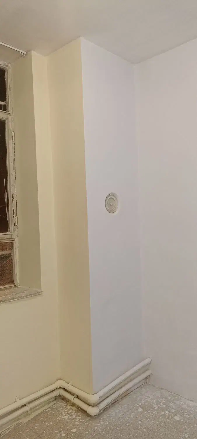 نقاش ساختمان قره باغی|خدمات پیشه و مهارت|سلماس, |دیوار