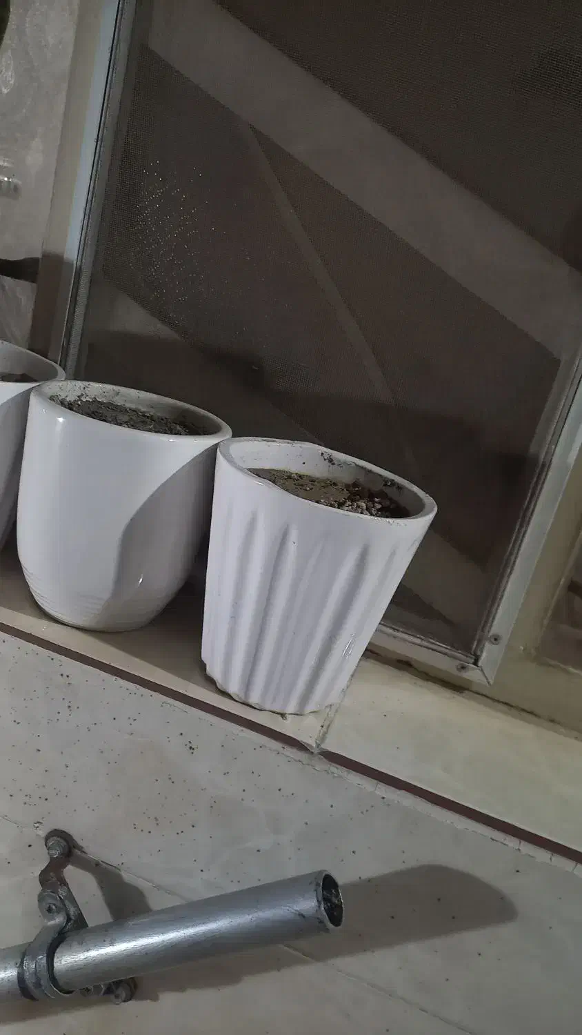 گلدان|گل و گیاه طبیعی|اهواز, فولادشهر|دیوار