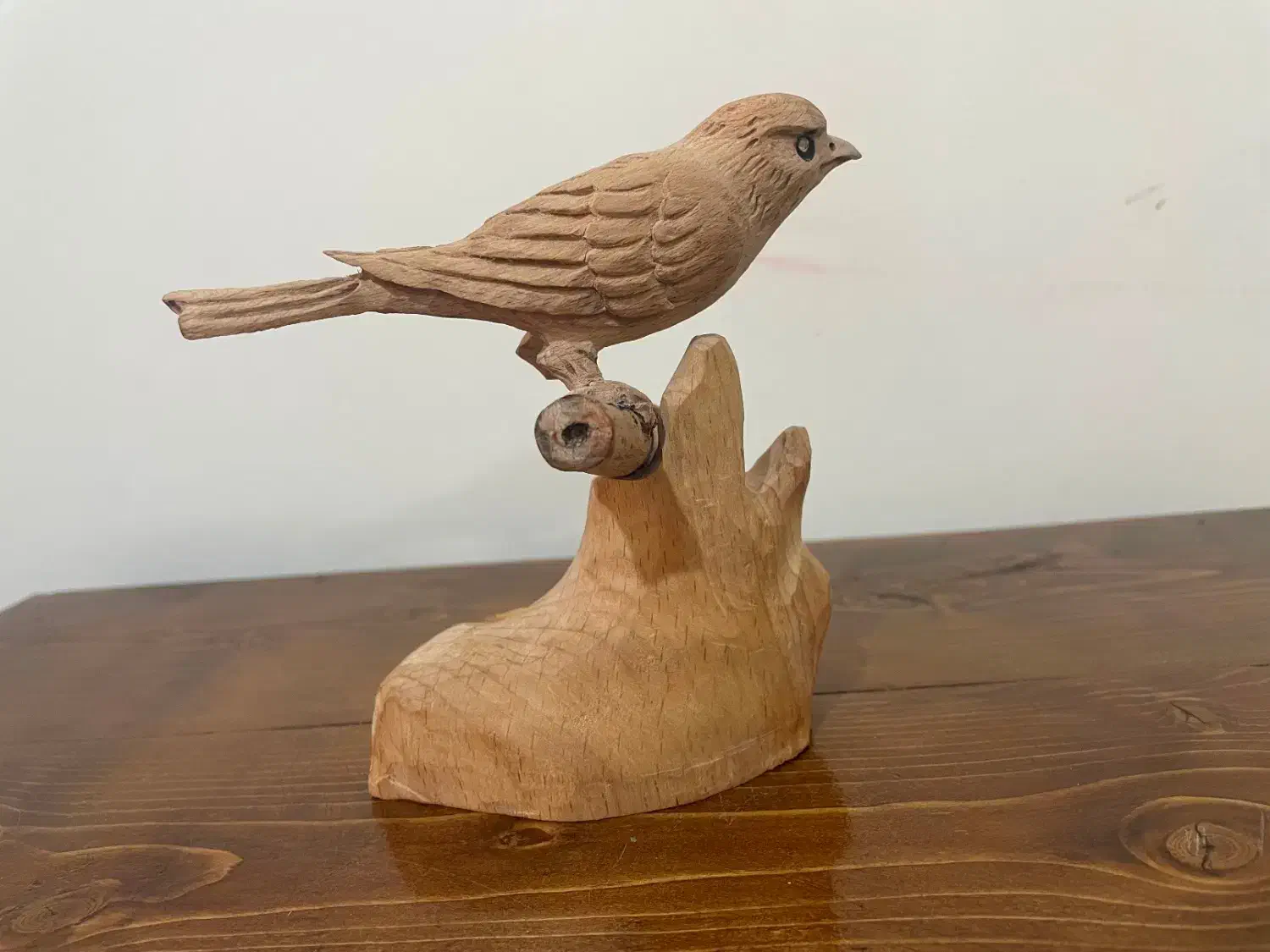 مجسمه قناری نفیس|مجسمه، تندیس، ماکت|شیراز, نشاط|دیوار