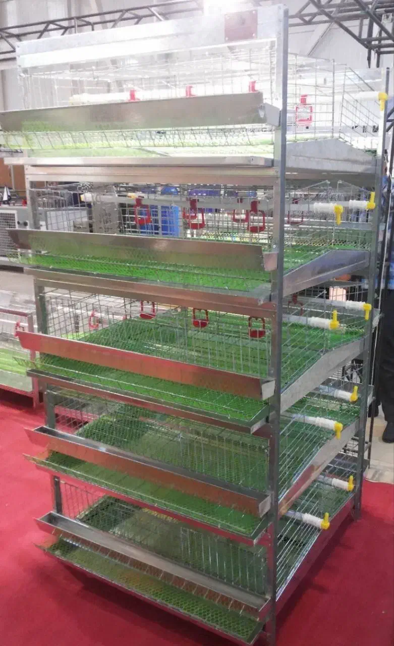 دستگاه جوجه کشی 48 +دارای برد تمام اتوماتیک|لوازم جانبی حیوانات|زاهدان, |دیوار