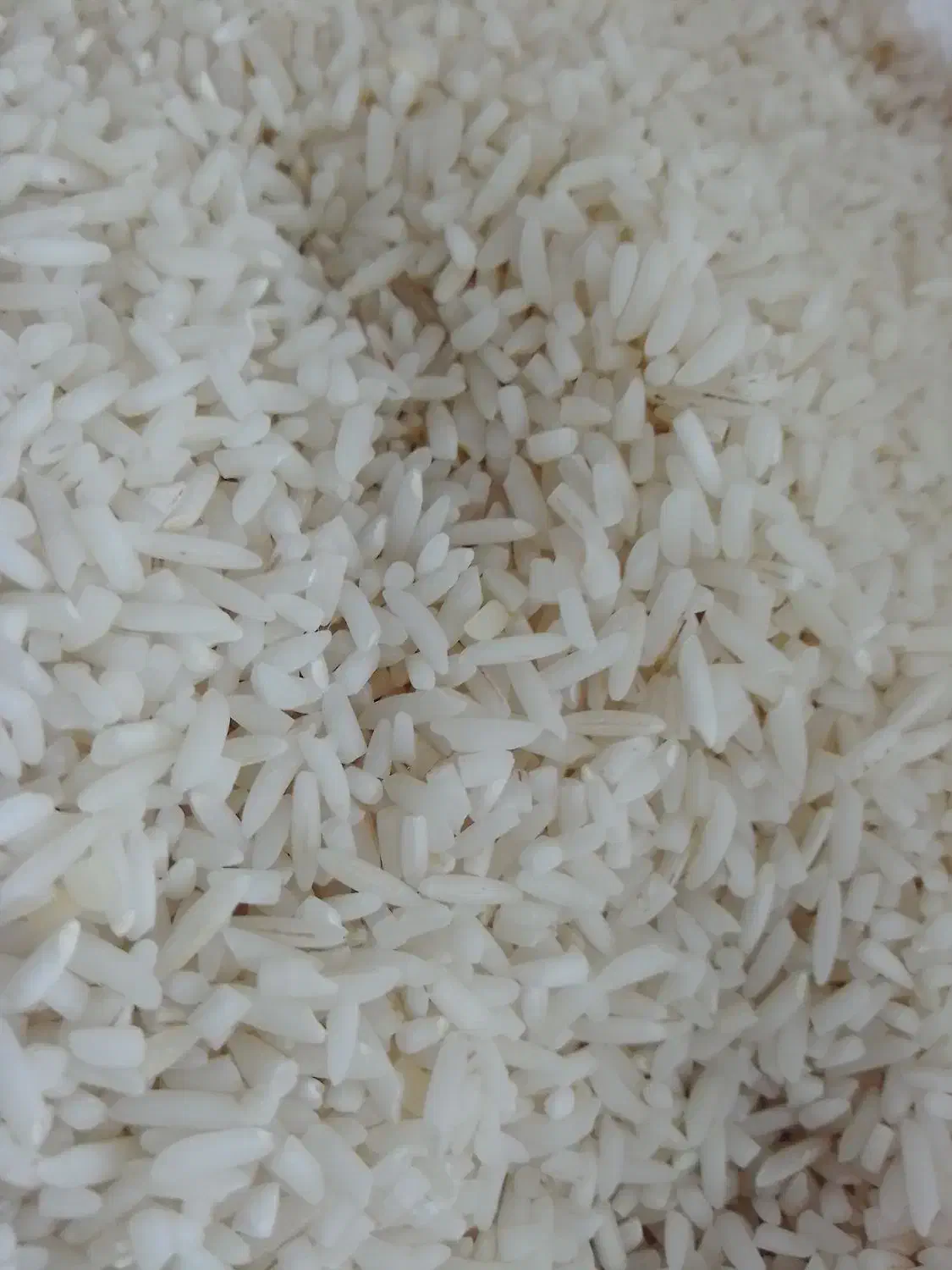 سرلاشه برنج هاشمی|خوردنی و آشامیدنی|قم, باسکول|دیوار