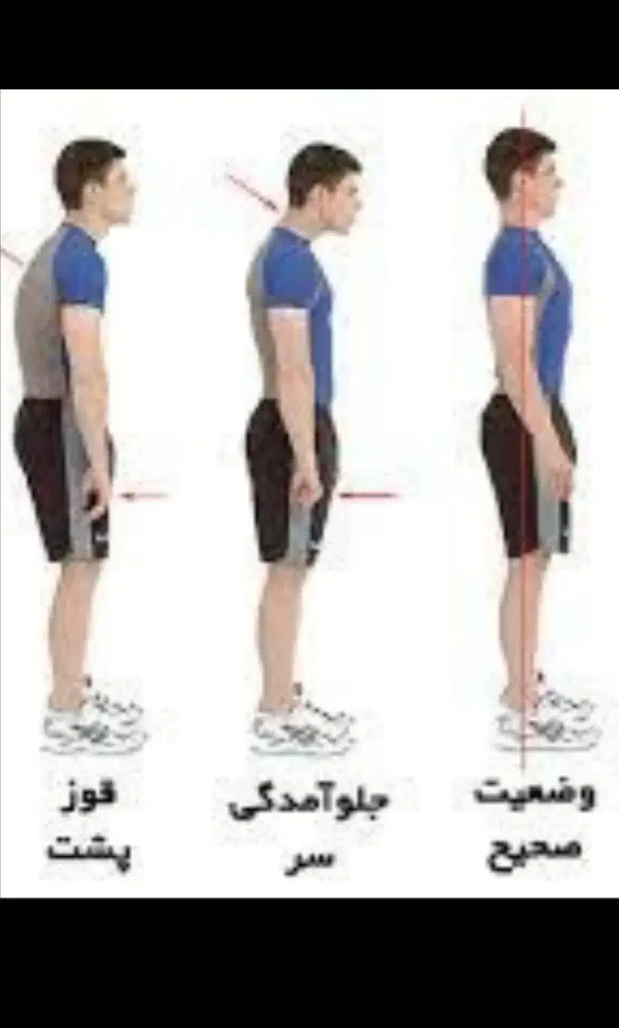 دوره ی تخصصی ورزش درمانی|خدمات آموزشی|سبزوار, قصبه اب یمین|دیوار