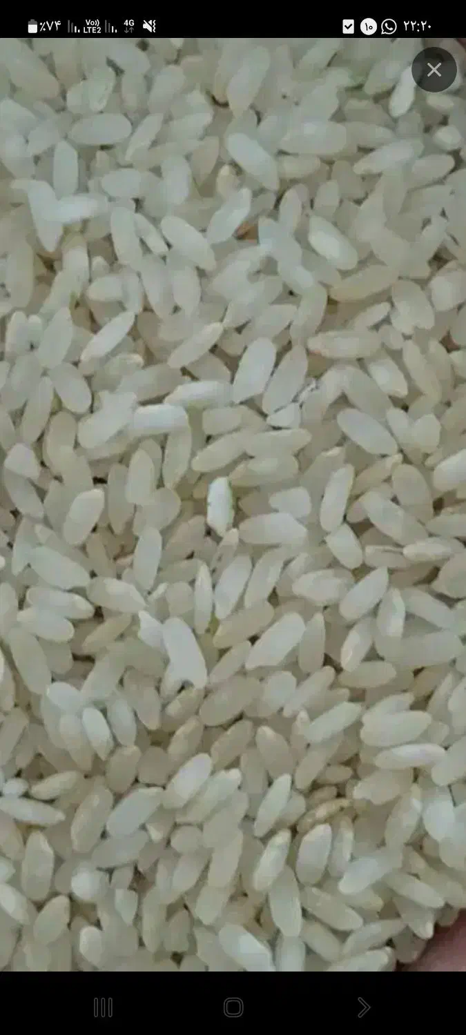 برنج اعلاء درجه یک یک به شرط پخت|خوردنی و آشامیدنی|شیراز, شهرک والفجر|دیوار