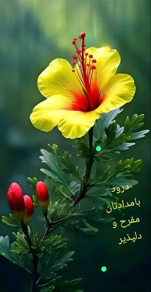 راهنمایی|فعالیت داوطلبانه|بهبهان, |دیوار