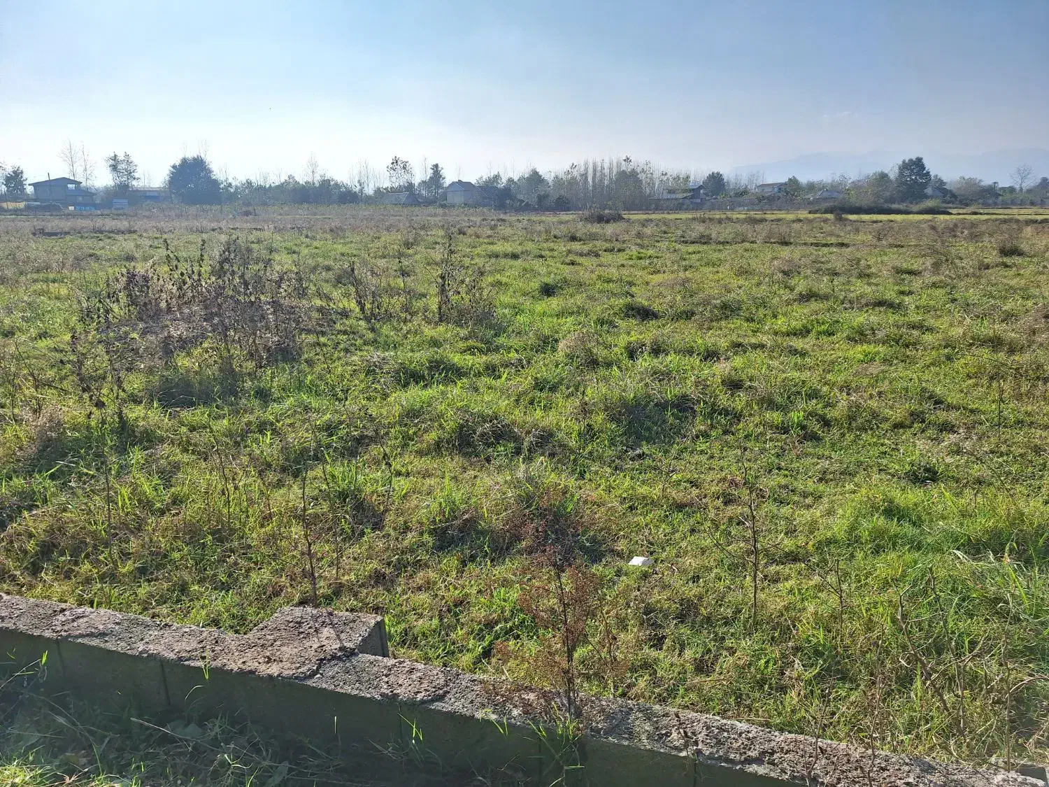 فروش زمین ۲۵۰ متری در ماسال|فروش زمین و ملک کلنگی|طاهرگوراب, |دیوار