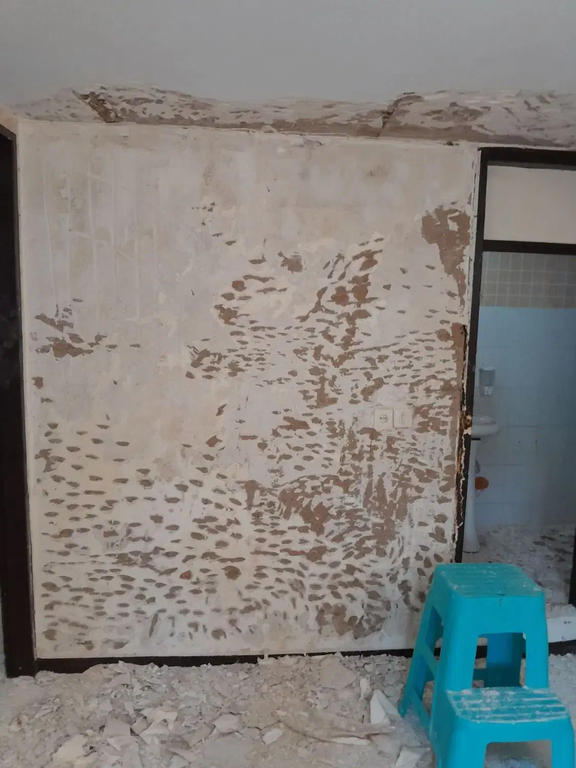 خدمات بنایی|خدمات پیشه و مهارت|کرج, کوی امامیه|دیوار