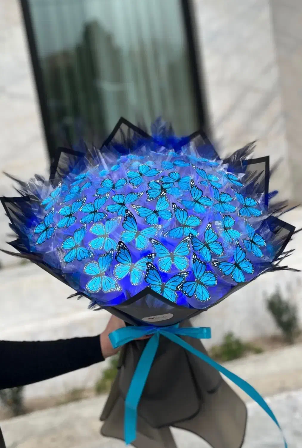 بوکت و باکس پروانه|اسباب‌‌بازی|بروجرد, |دیوار