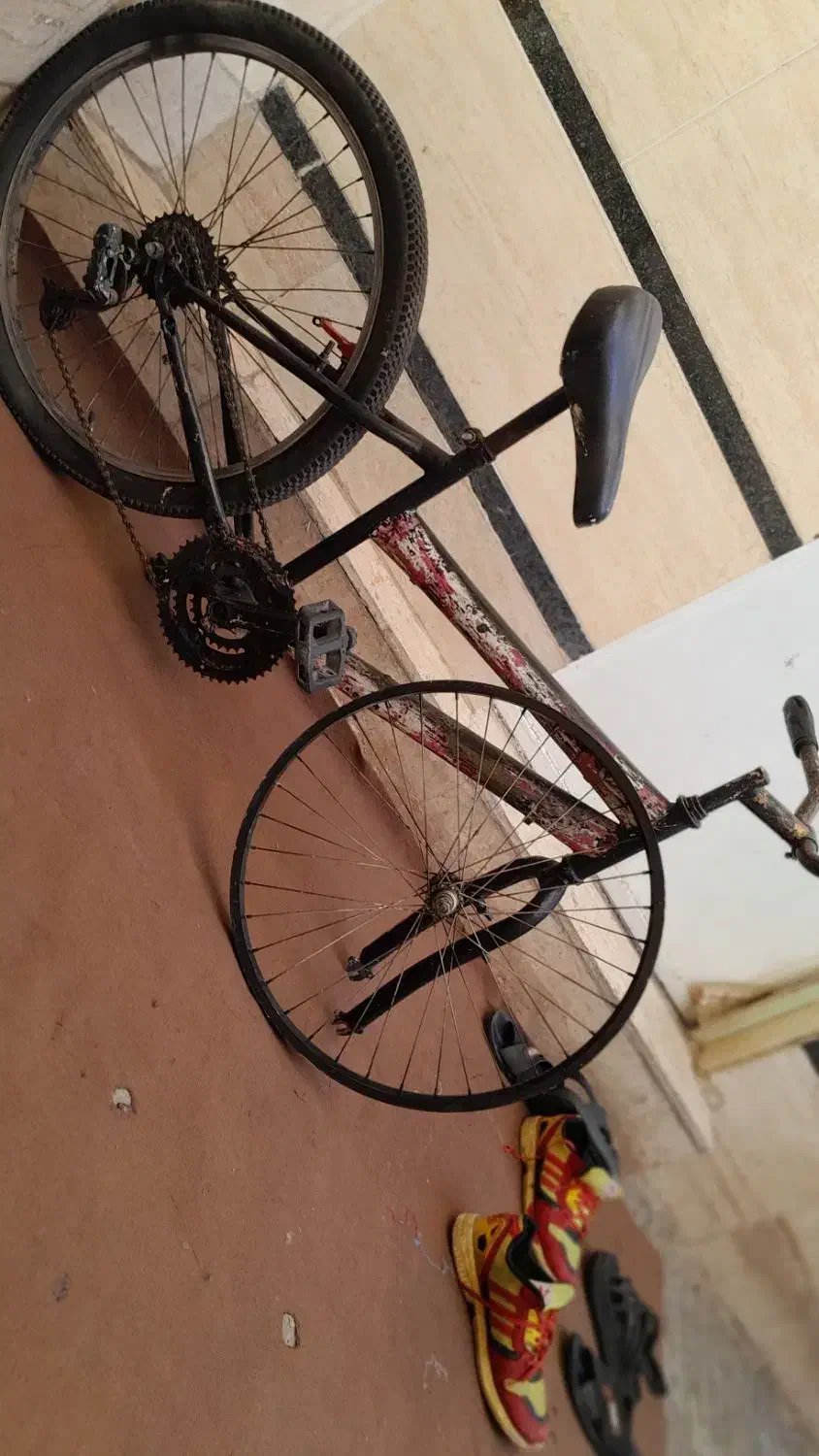 دوچرخه ۲۴|دوچرخه، اسکیت، اسکوتر|الوند, |دیوار