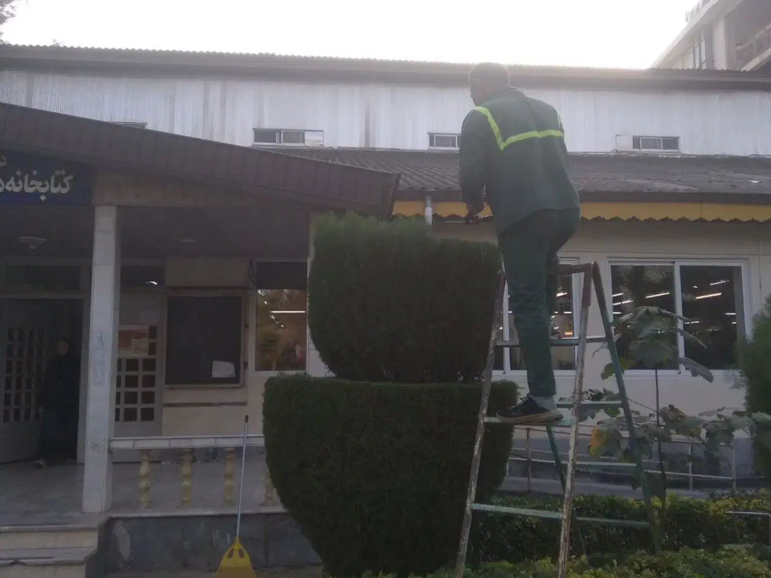 کلیه خدمات باغبانی پذیرفته میشود|خدمات باغبانی و درختکاری|رشت, پل تالشان|دیوار