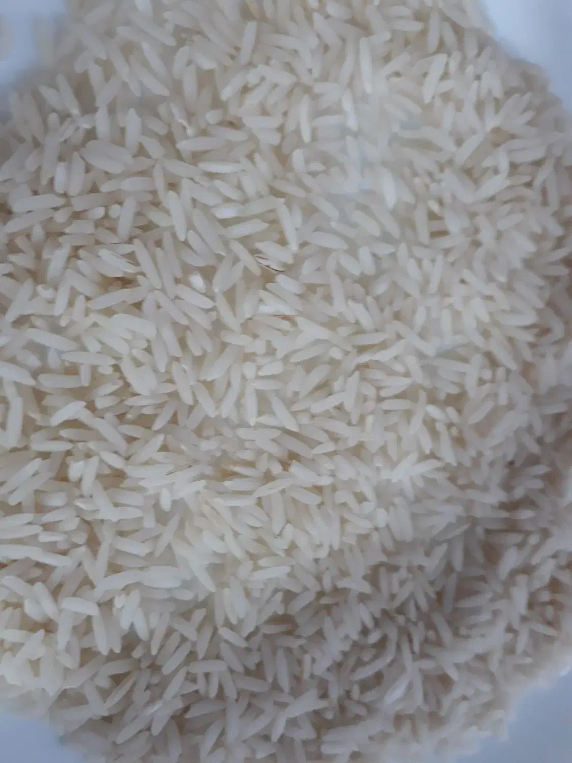 برنج هاشمی سورتینگ شده|خوردنی و آشامیدنی|رشت, جهاد|دیوار